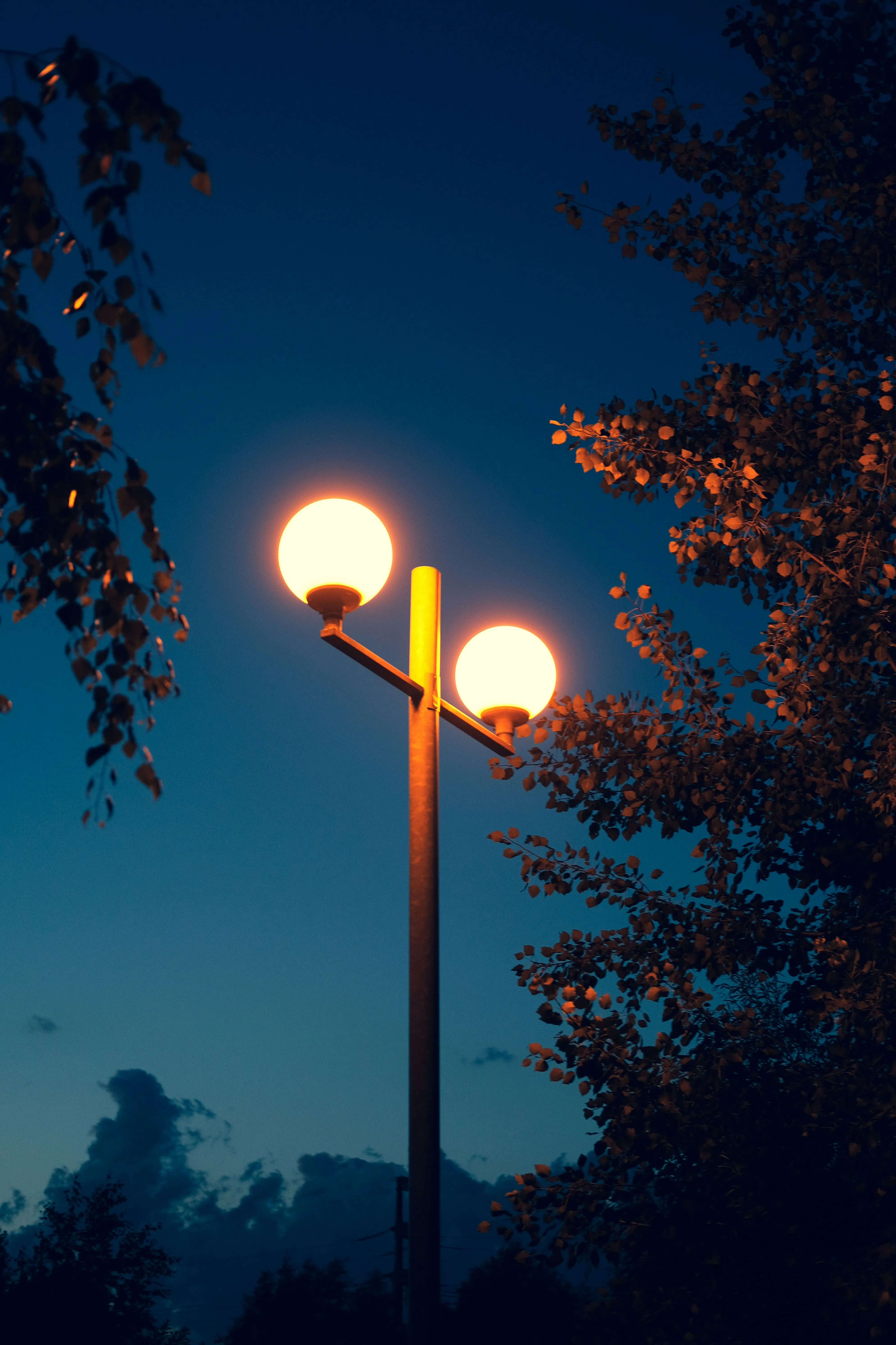 Safe streets and public spaces in Langley